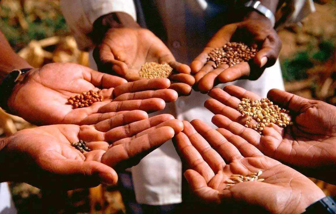 美国对华出口额,美国对华商品出口额的影响