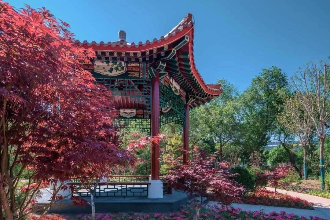 天津第二工人文化宫改造,天津第二工人文化宫开放时间