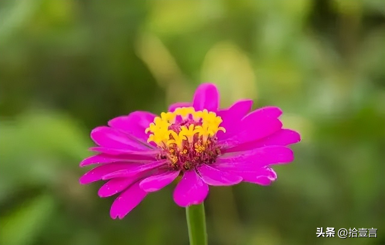 越是心穷的人越有这几个习惯,如何观察一个人是真穷还是假穷