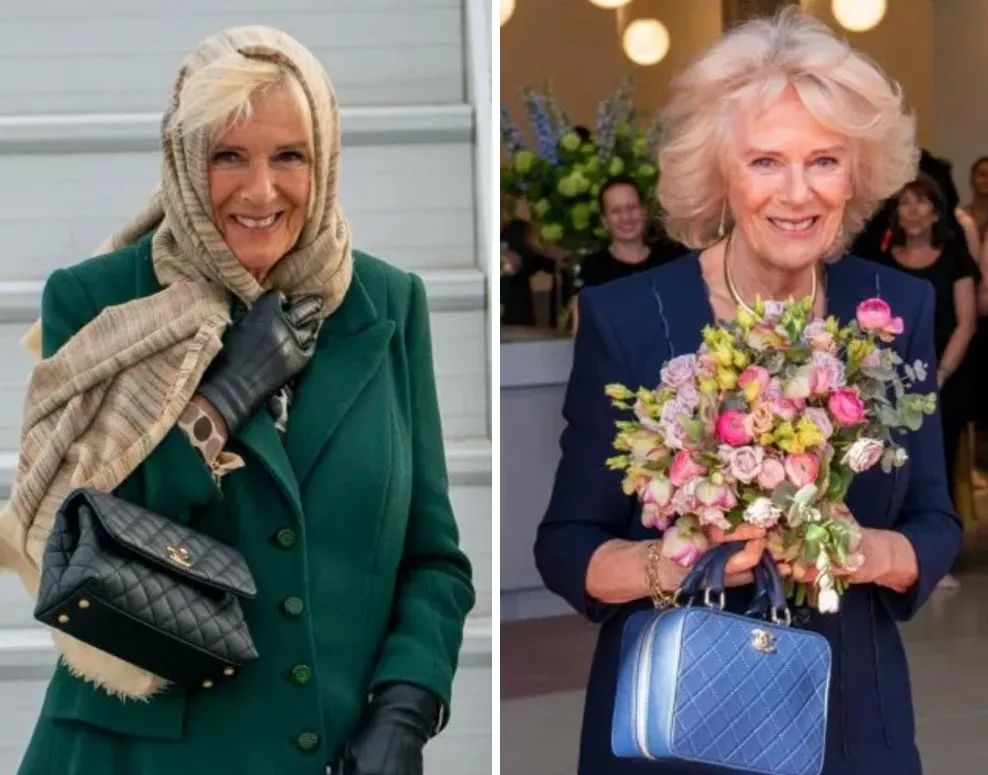 卡米拉出尽风头,卡米拉靠什么被女王认可