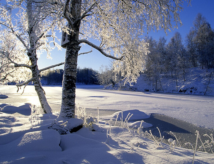 钱红艳读后感800字,钱红莉散文风格