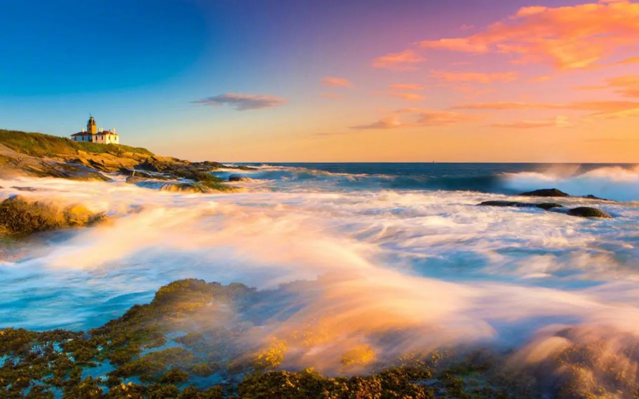 上海野生动物园游玩攻略，附加免票政策