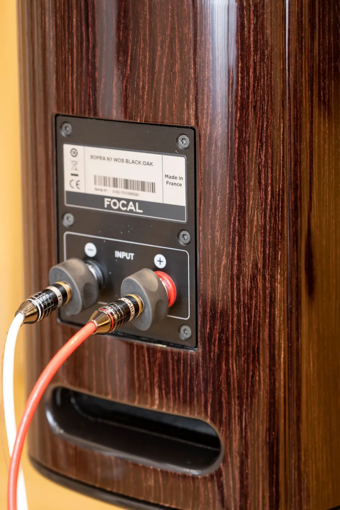 十余万元的准Hi-End级入门套装——首选Focal与Naim的黄金组合