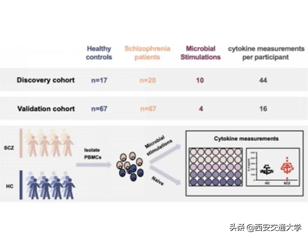 科研实力+1！看交大医学力量