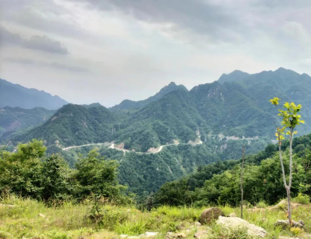 乐在其中——我与公众号“百姓文化视点”◎文/天涯