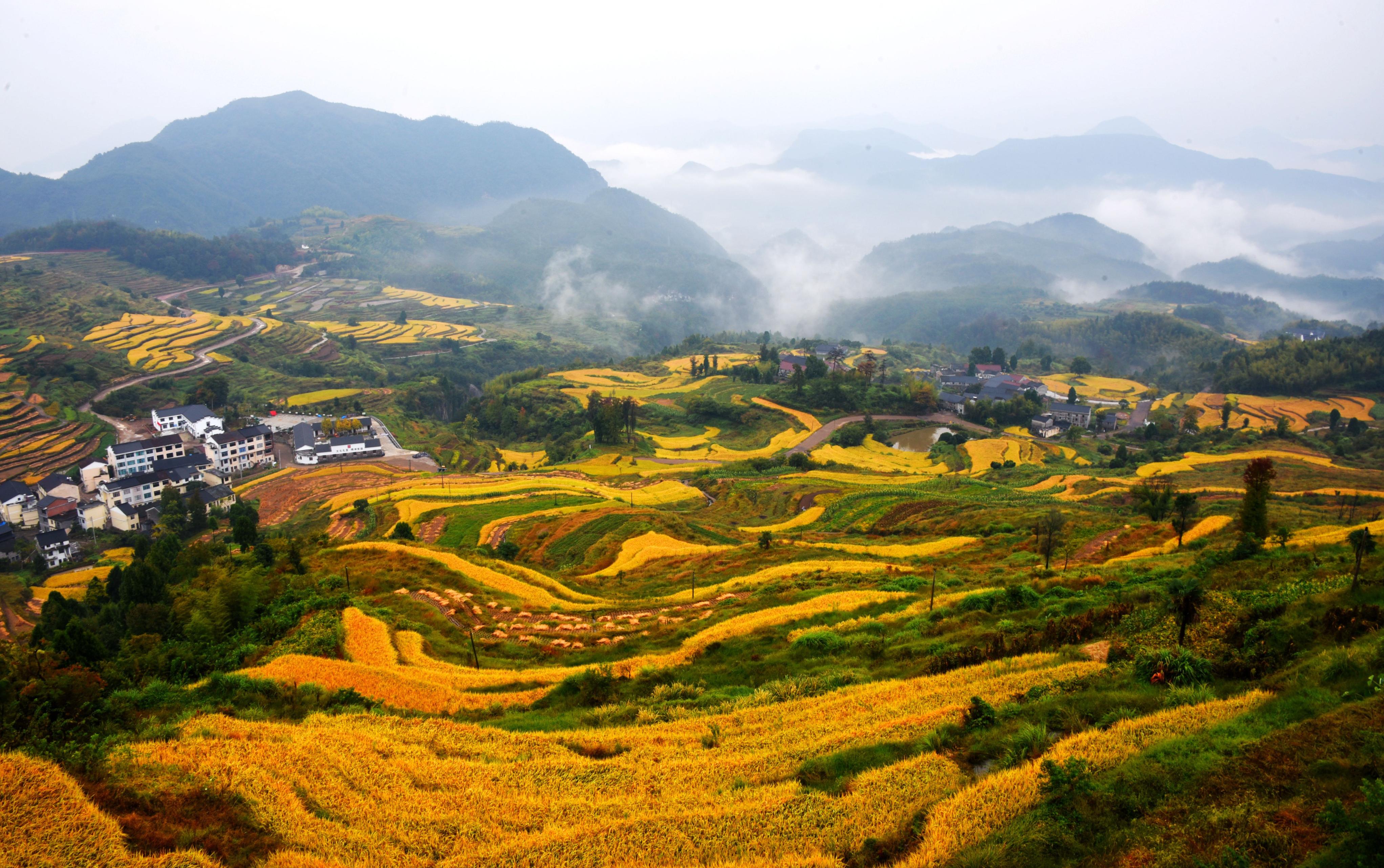 天台与仙居,天台和仙居对比