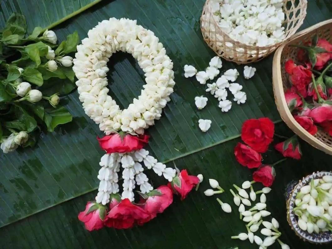 母亲节恐怖故事,母亲节背后的历史