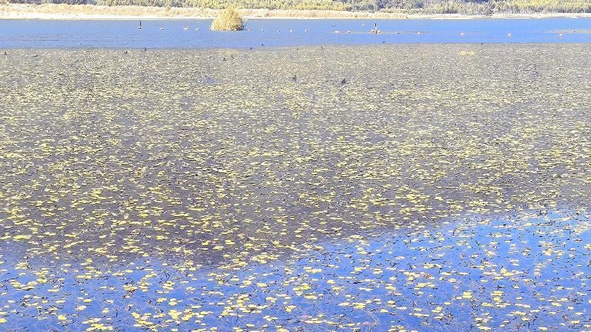 十一月云南旅游攻略腾冲 (从云南腾冲看云南旅游攻略)