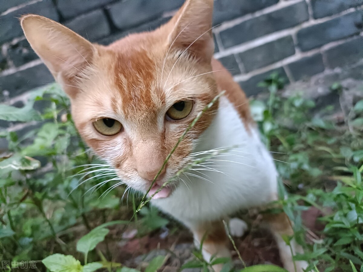 飞机失事快讯,飞机失事快递员掉岛上