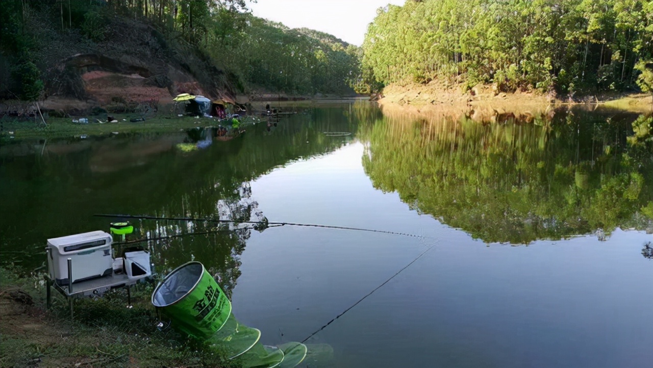 6.3鱼竿野钓选择什么调性,野钓鲢鳙鱼竿选择