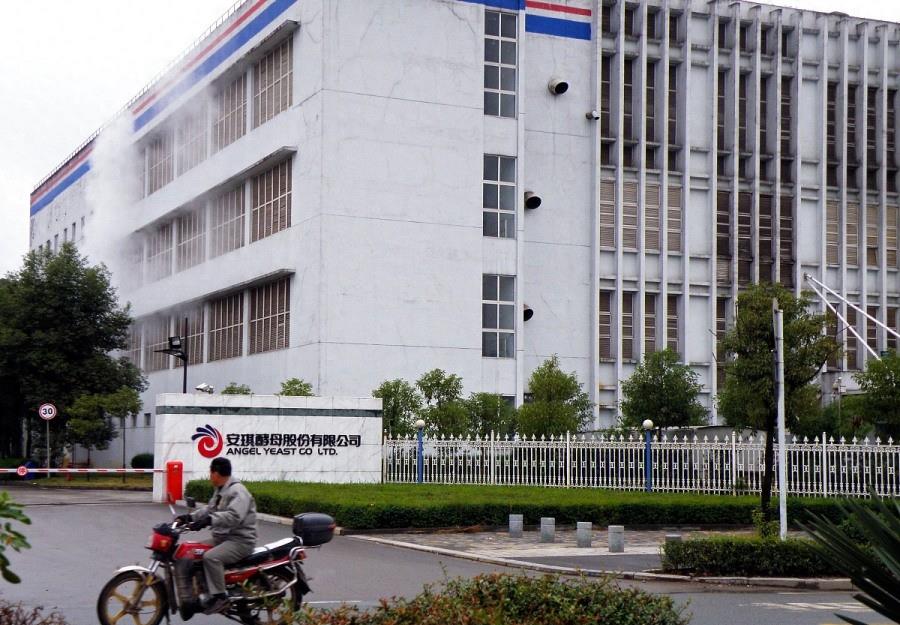 中威电子未来发展趋势,科技黑马视频