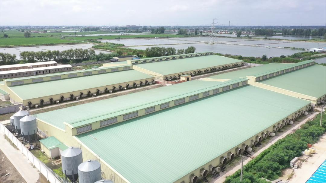 盐城：“特色农场”铺就乡村振兴致富路