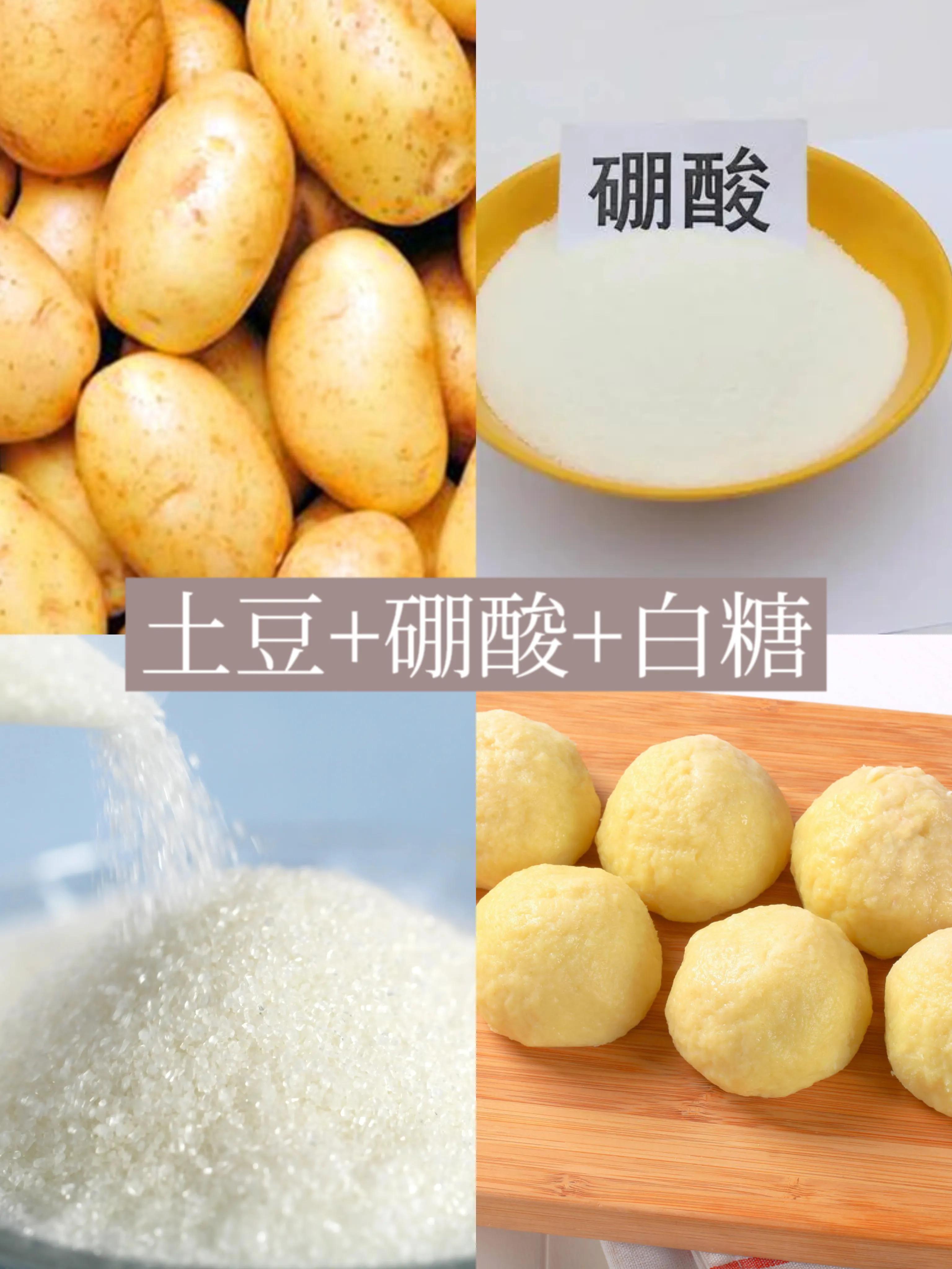 厨房消灭蟑螂最快方法,硼砂消灭蟑螂最有效方法