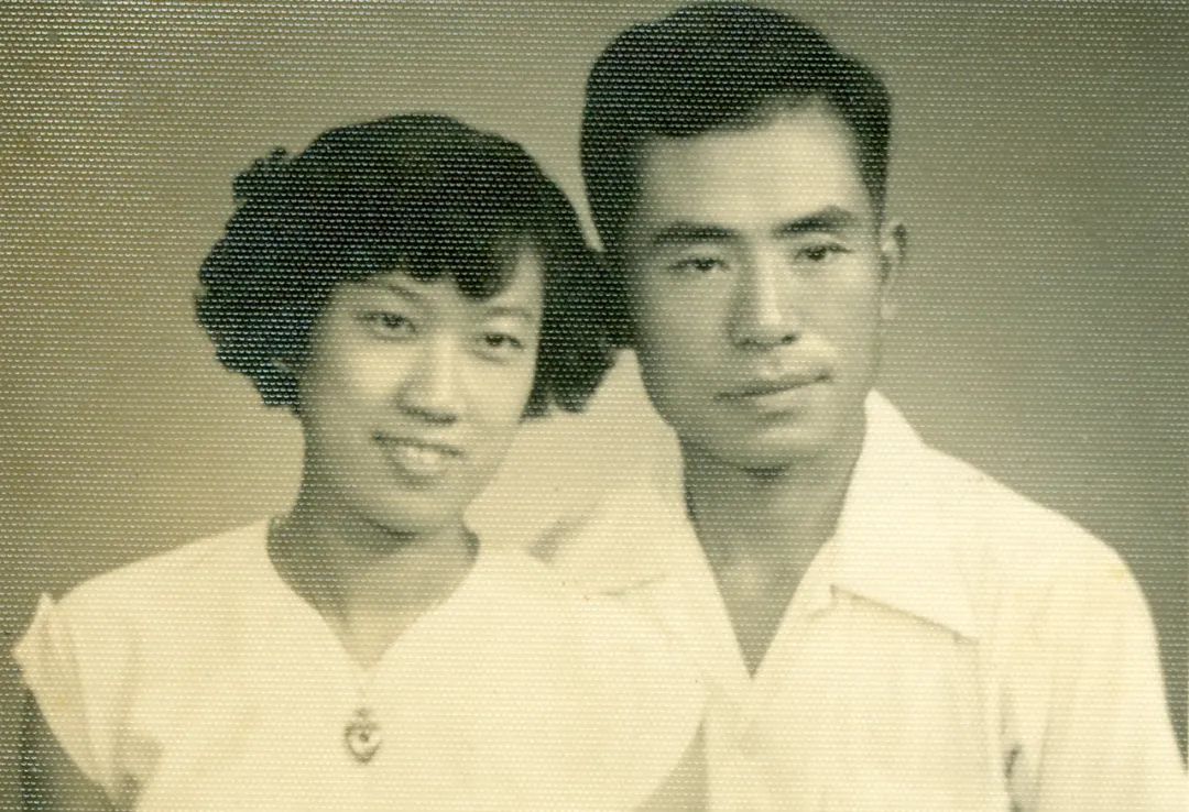 俞鸿儒院士简介,俞鸿儒院士访谈