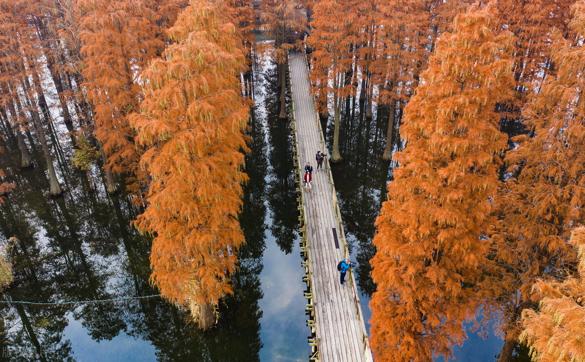上海游玩免费景点推荐,上海推荐逛的免费景点
