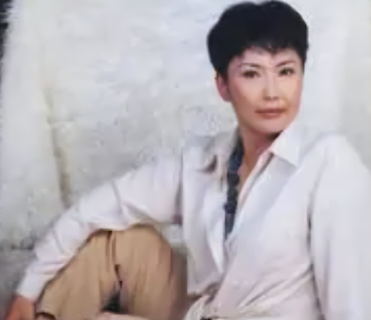 央视女主持人宁辛,主持人宁辛及丈夫近况