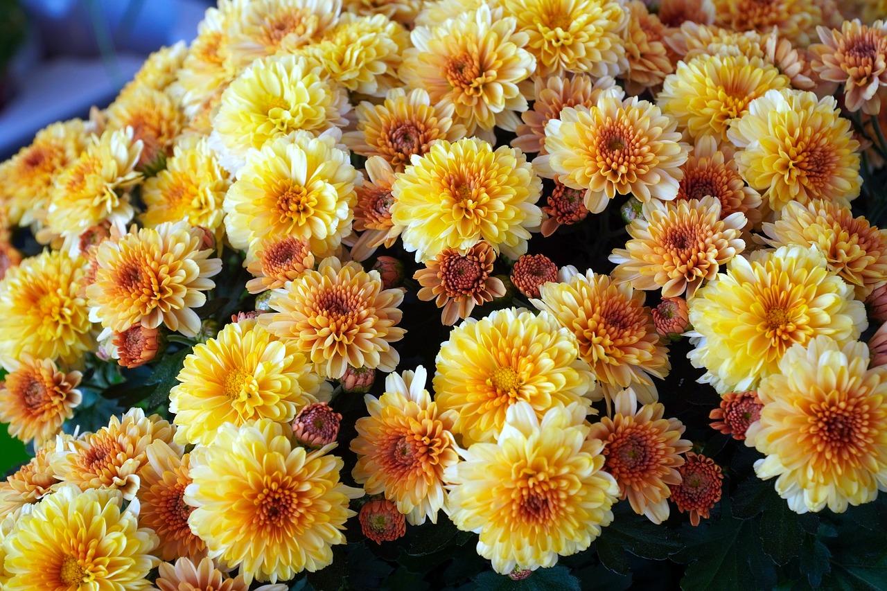 心理学家对爱情的感悟,心理学家真正的爱情只有3种模式