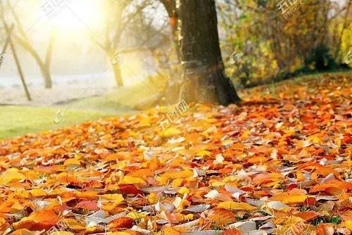 秋天的思念纯音乐,秋天的思念