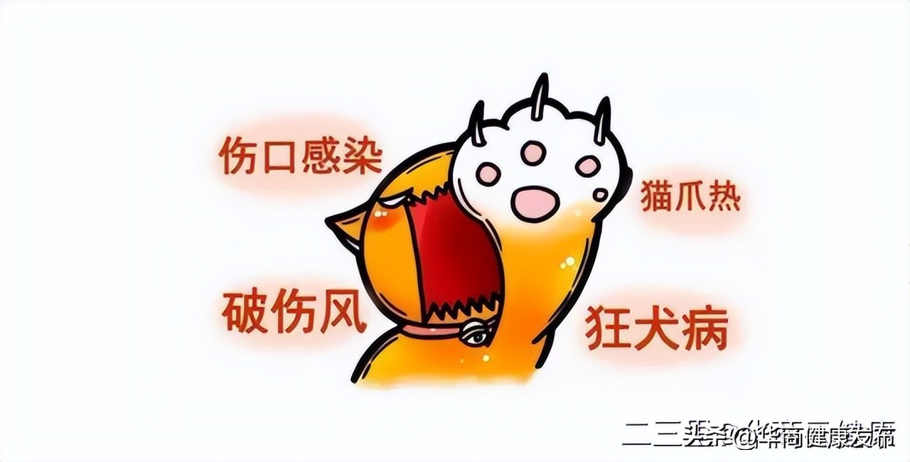 铲屎官感冒了会传染给幼猫吗,铲屎官担心自家猫咪着凉