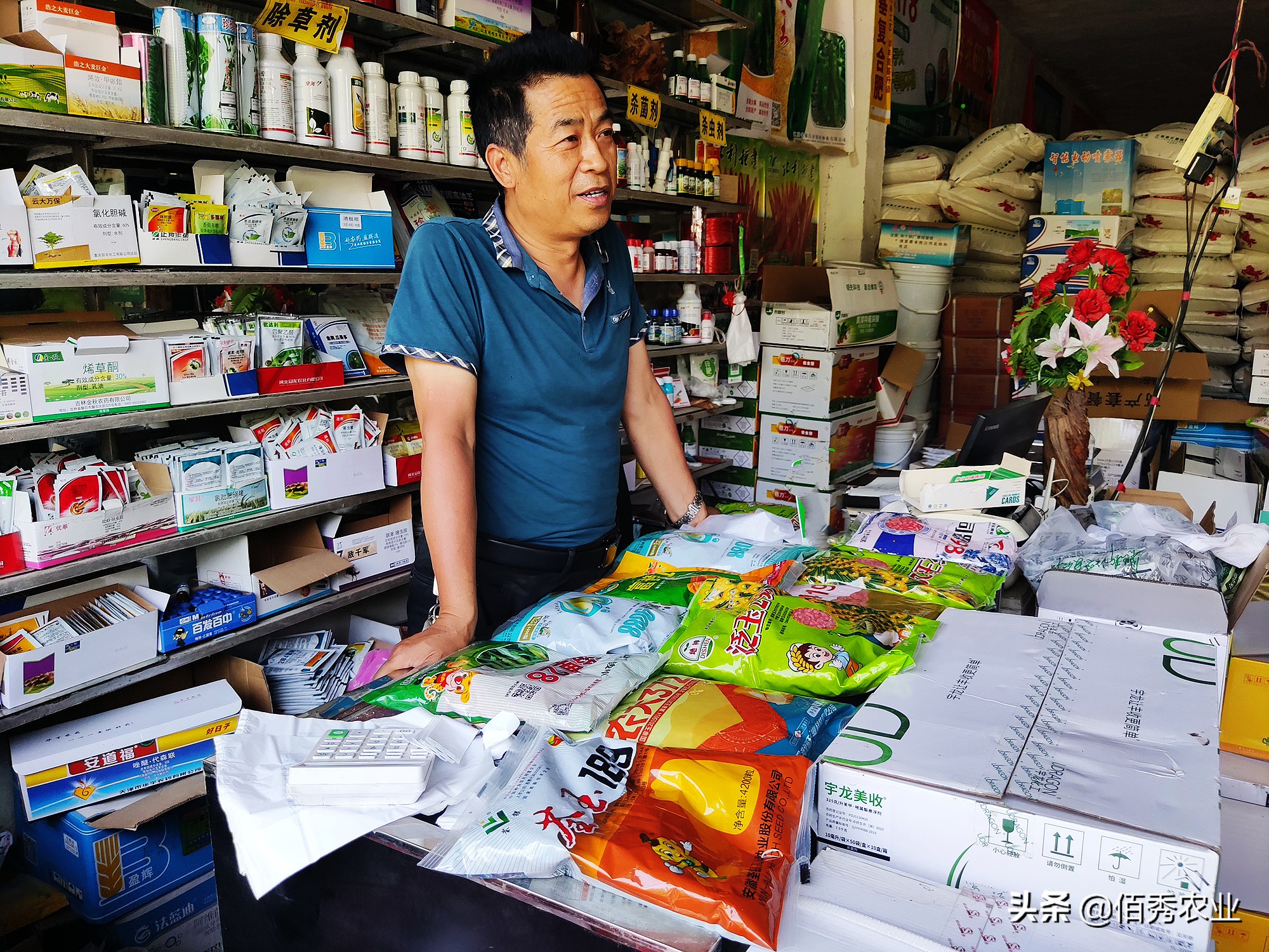 辣椒病毒病是虫害引起的吗,辣椒病毒病