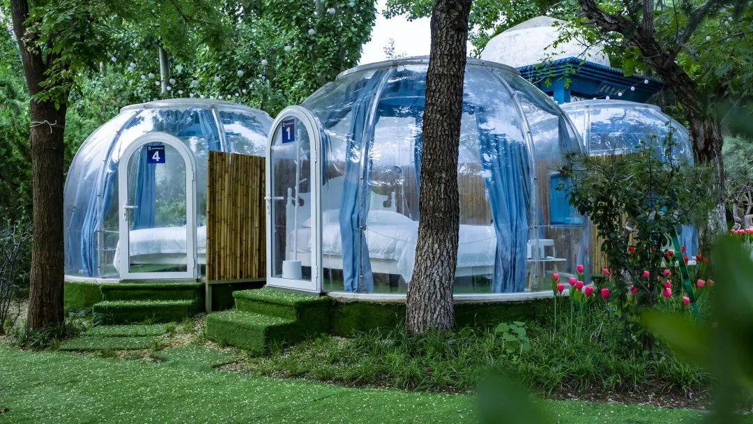 济南旅游公交专线有哪些 (济南近郊公交直达的游玩场所)