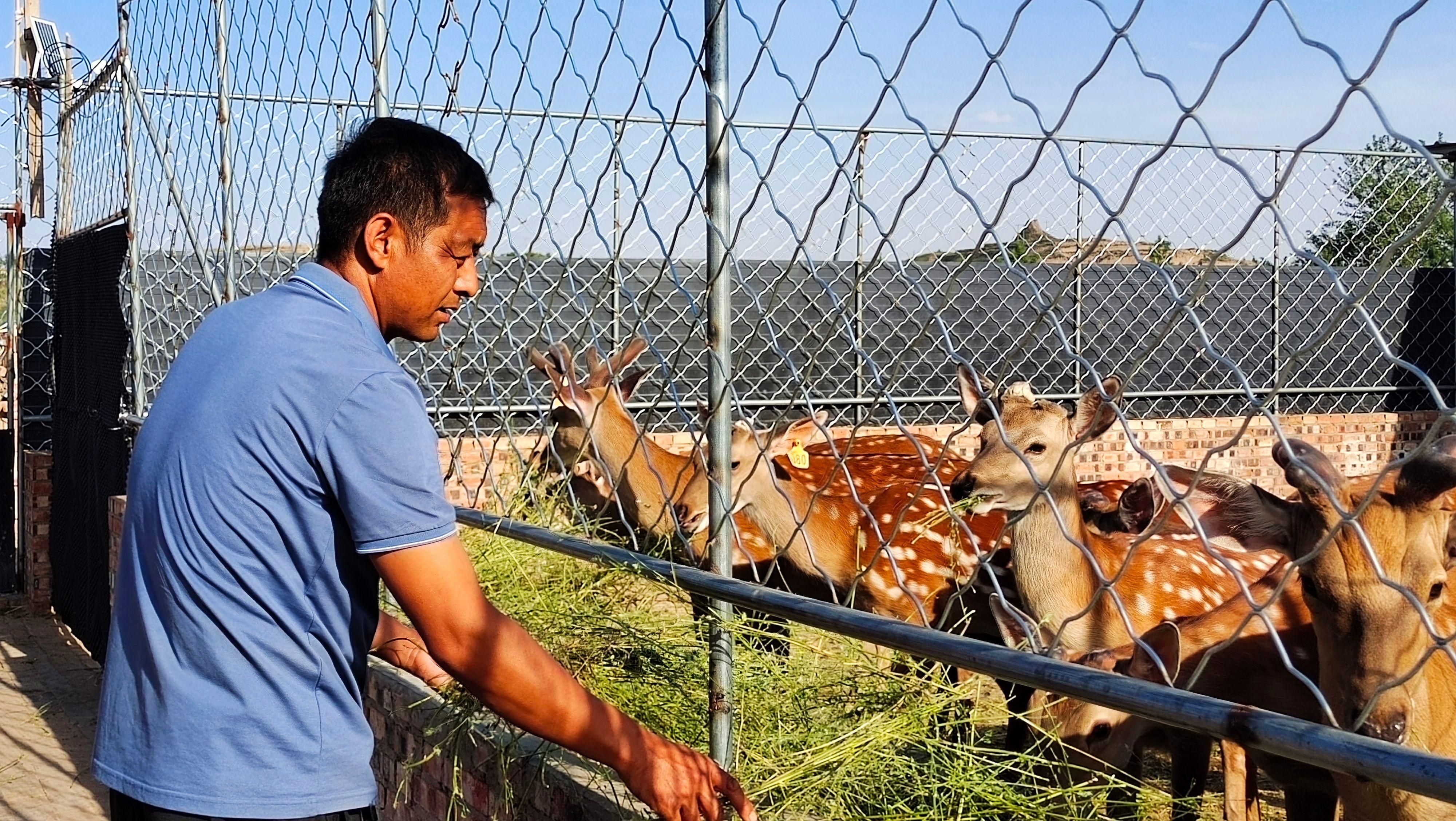 发展产业扶贫助力乡村振兴,云南30个乡村振兴重点帮扶县名单