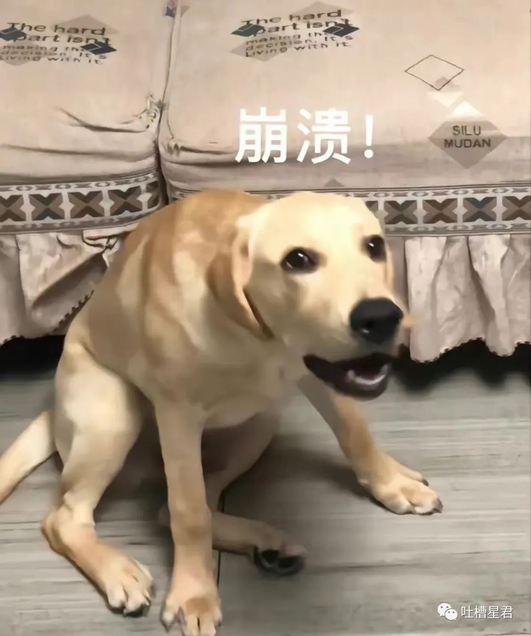 花1千买球拍值得吗,花1千买球拍