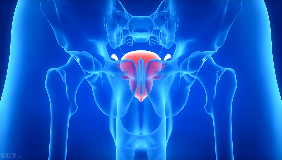 “丁丁”10厘米,算正常吗?如何让男人“命根子”延长