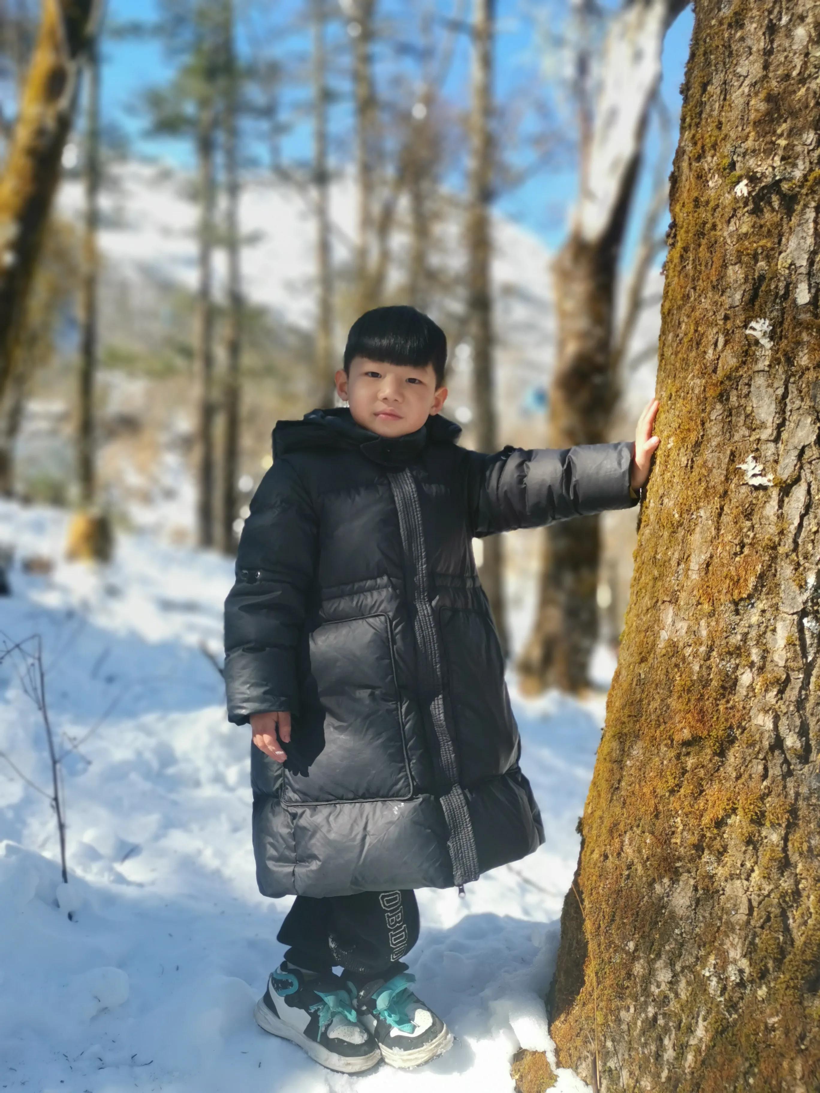 云南之旅丽江之行,2020年春节丽江大理之行