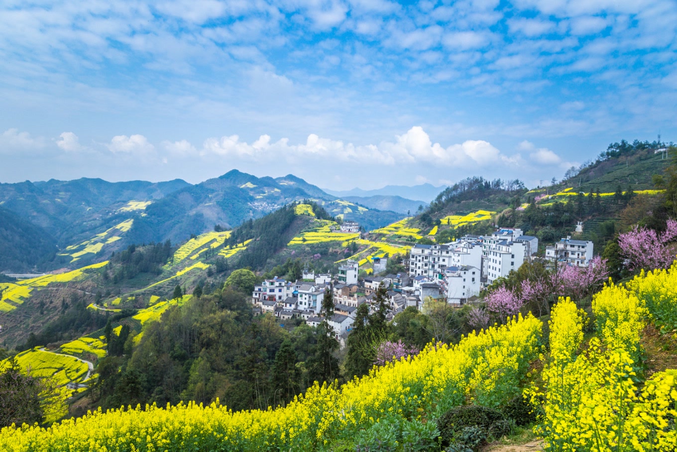 高铁到黄山北后有哪些景点,黄山北站到黄山风景区旅游攻略