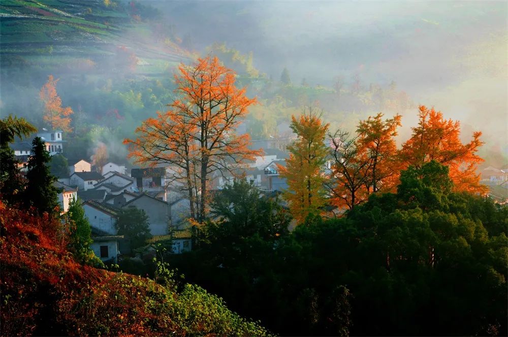 黄山歙县石潭百家摄影点,歙县石潭村最佳拍摄点