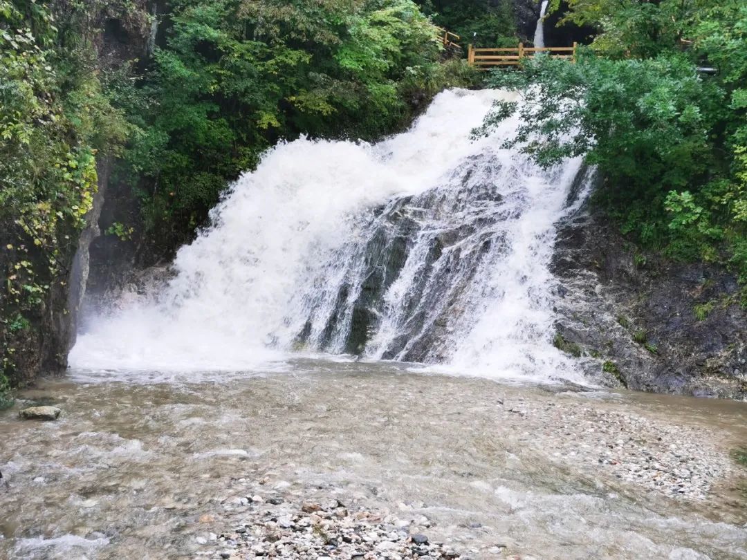 最新名单公示！14家单位上榜！