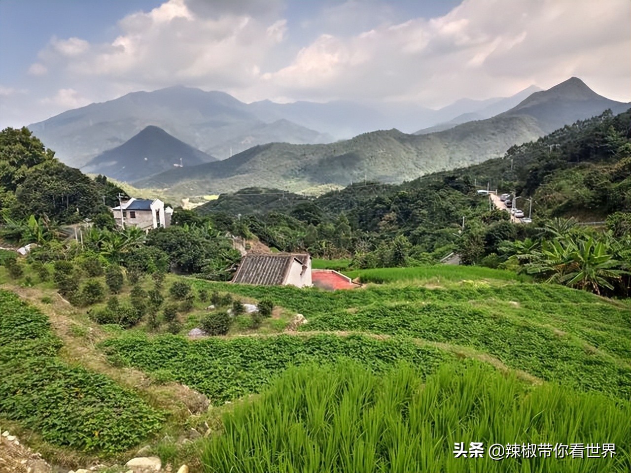惠州市海岸线,惠州的海岸线