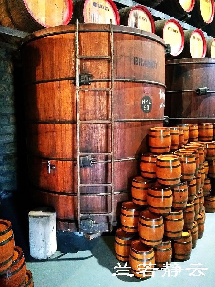 澳洲·墨尔本：到酒庄免费品酒，付5澳元到樱桃园吃到撑