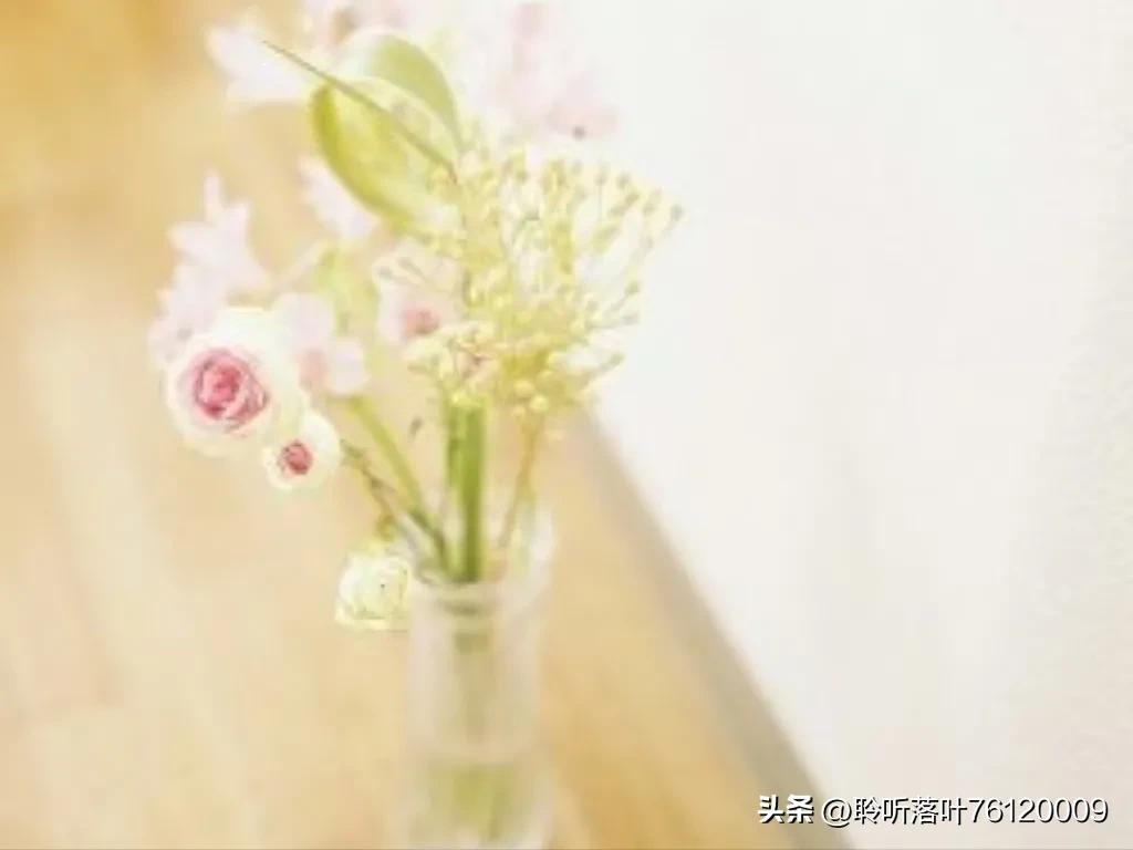 520是用数字来代表我爱你,520代表什么521又代表什么