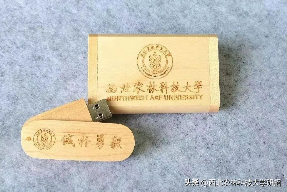 【“研”途风景|第6期】突然发现的瞬间