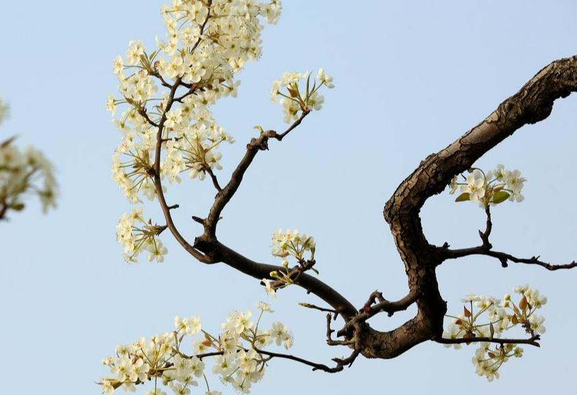 那些意境绝美的古诗词,豪放大气的10首诗词