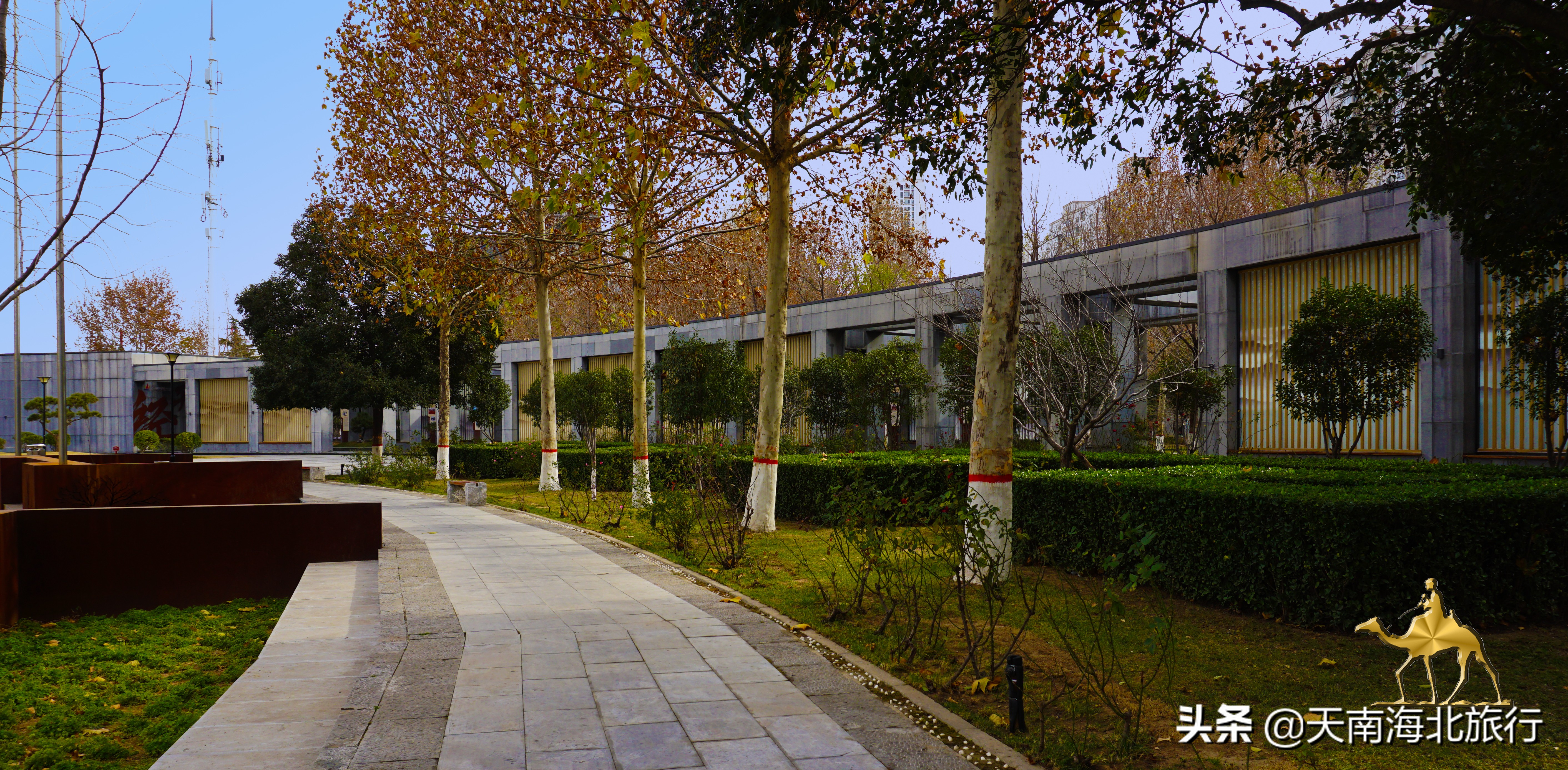 郑州，砂石、草坪、垂钓、运动、咖啡、图书馆……带孩可以玩一天