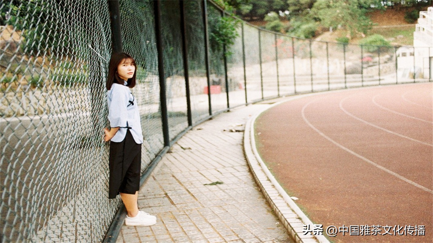 智者喜爱清泉，仁者喜爱山川