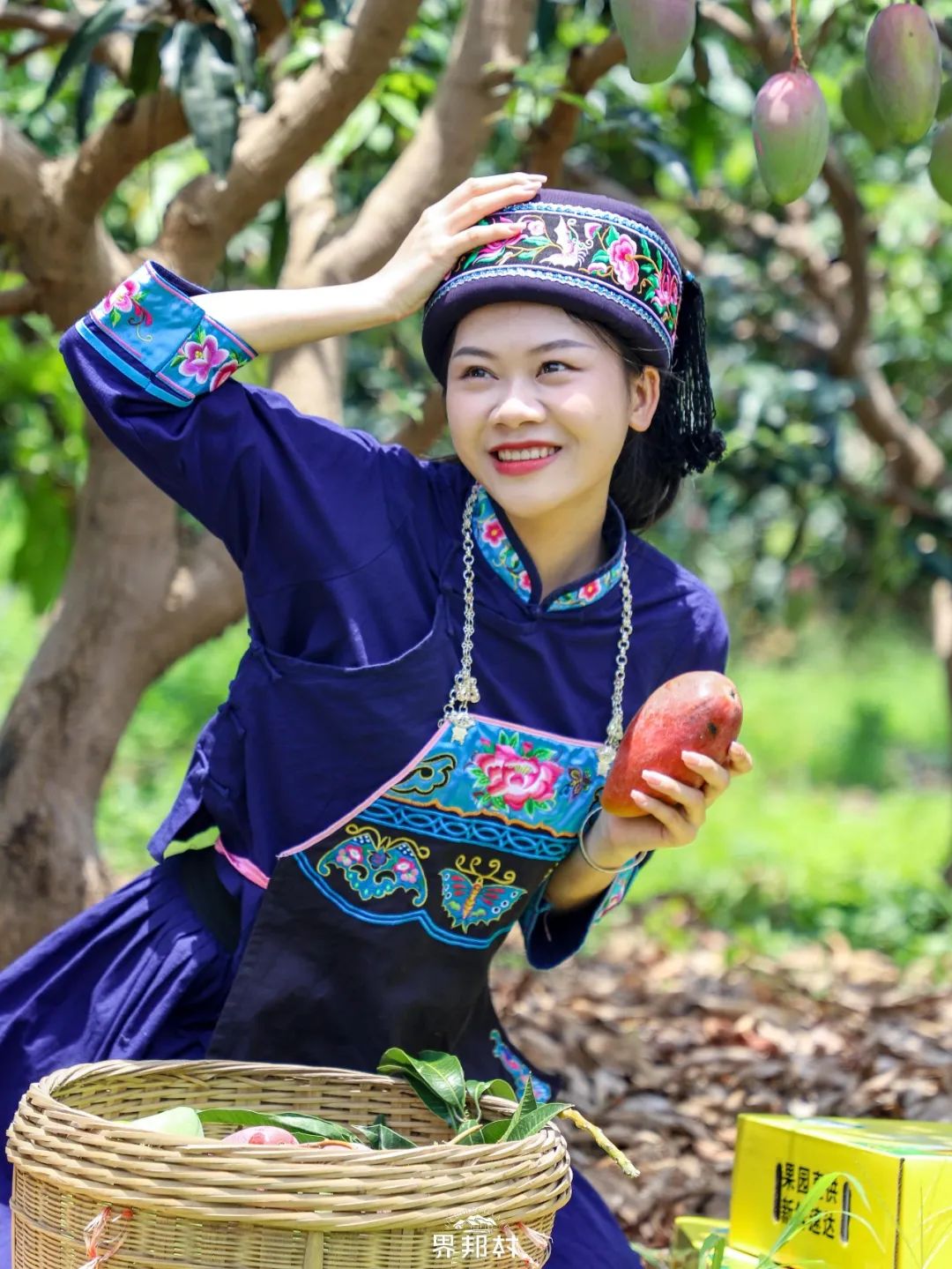 几月最适合吃什么水果,最适合七月吃的水果是什么