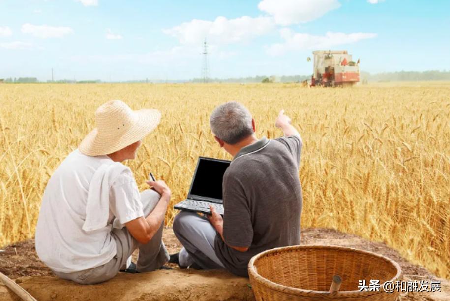 农业人口老龄化对农地配置与种粮决策的影响