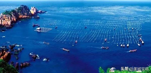 长江口水质发臭,中国海水水质排名城市