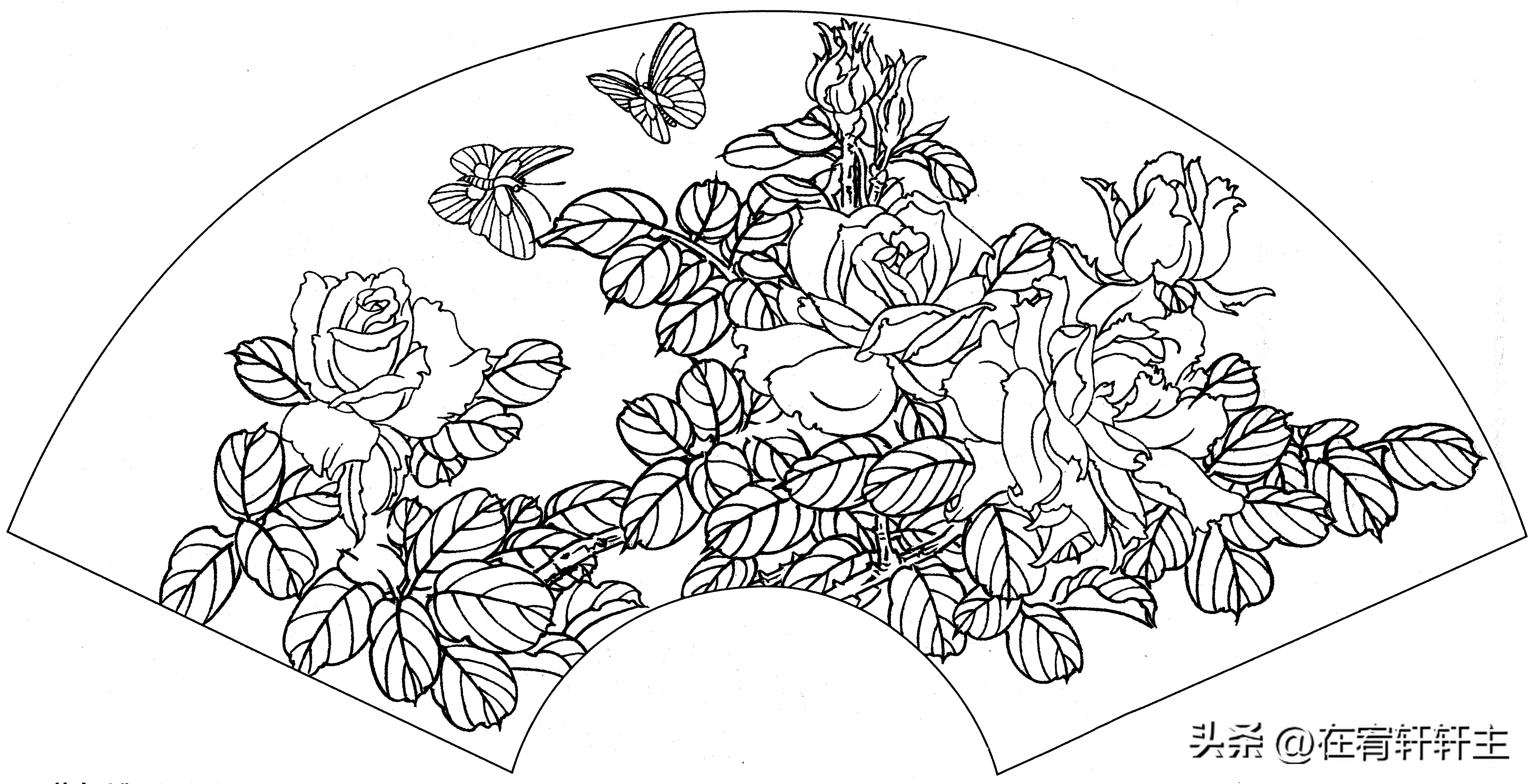 工笔白描祥云图案扇面,工笔扇面葡萄白描图片