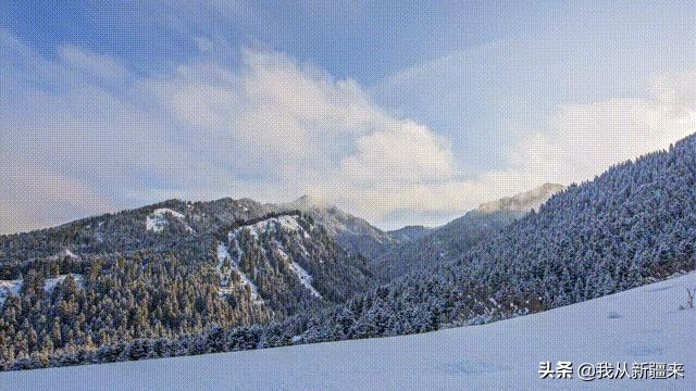 @合肥市民，听说有人给你搬来了一座*疆新**