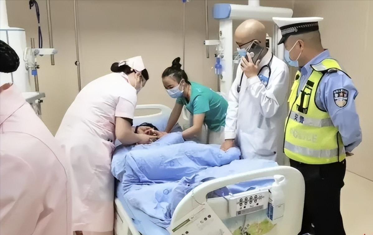 红火蚁被蜇伤的视频,被红火蚁咬哪里最危险