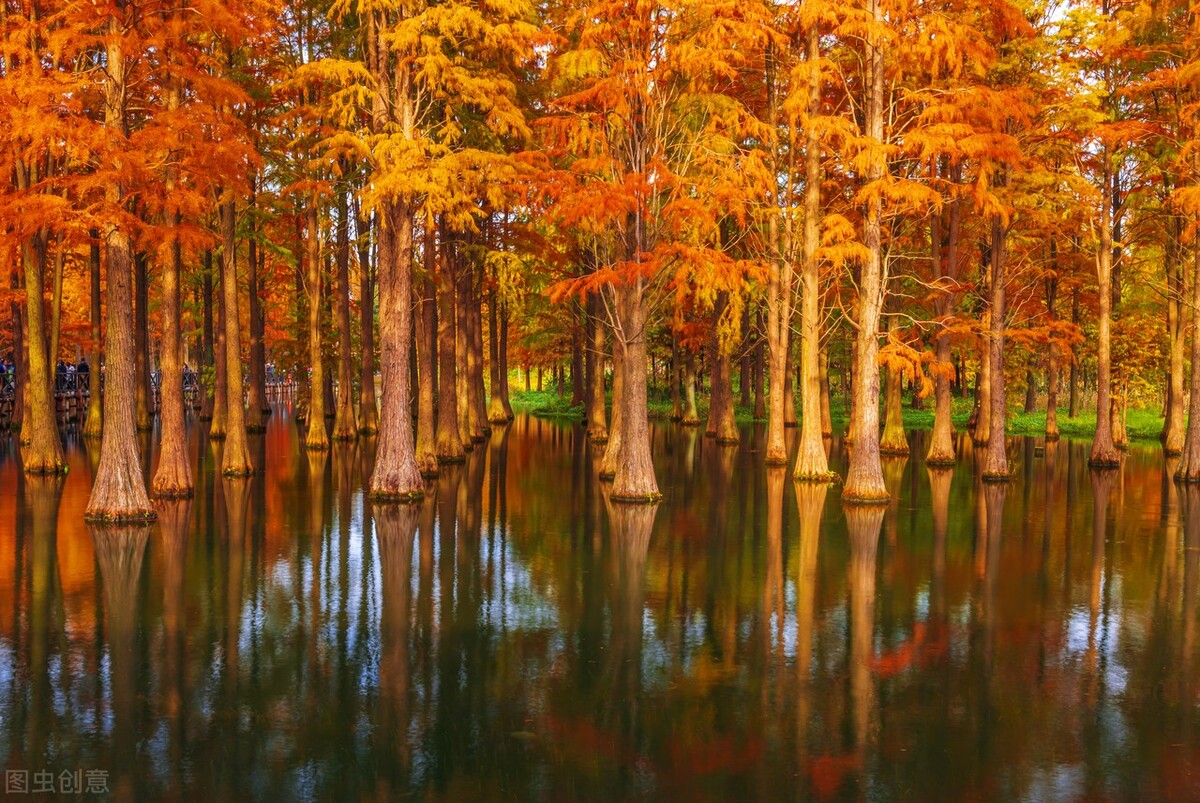 秋日上海好去处,上海秋日风景