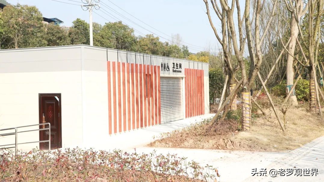 高家坝足球运动公园,高家坝运动公园足球场