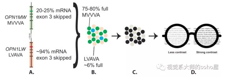 尼康镜片防控,尼康近视防控价格