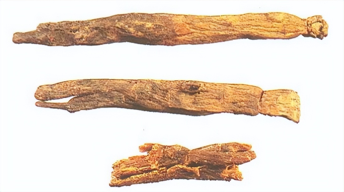 认识红参,带你认识红木