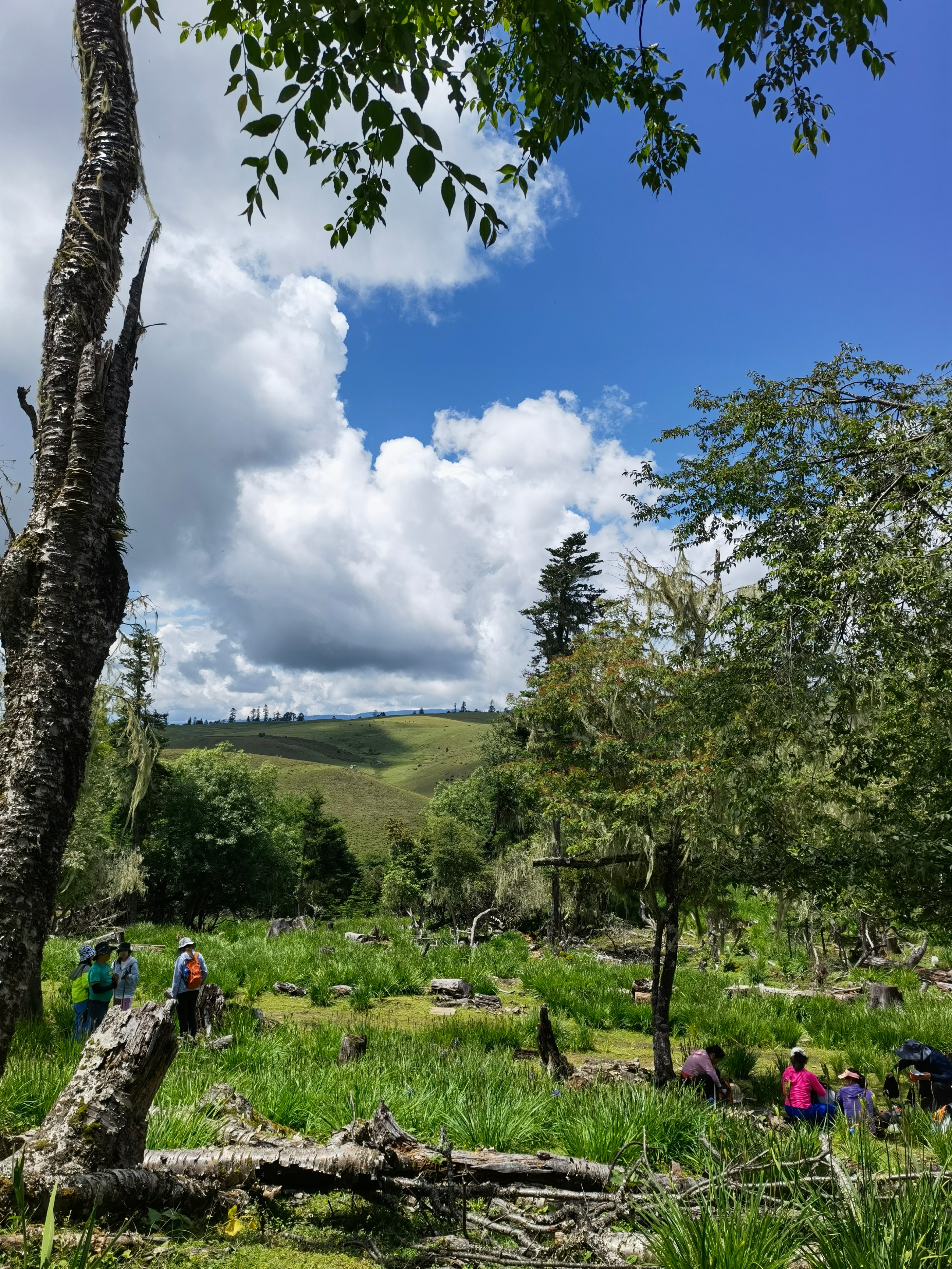 回想格拉丹，举杯对饮金沙石